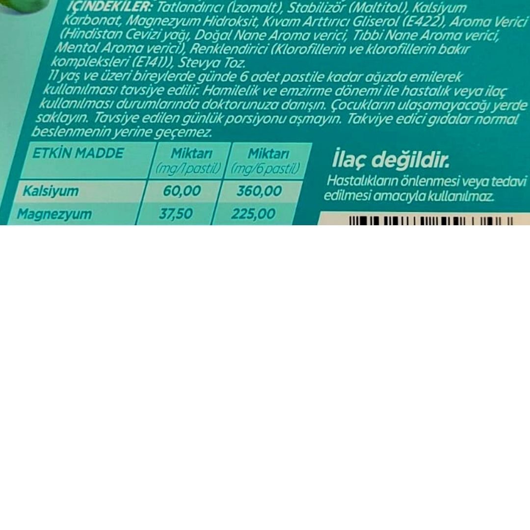 Gavidigest Nane Aromalı Şekersiz 12 Pastil