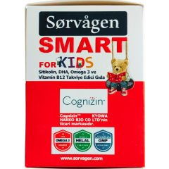 Sorvagen Smart Kids Sitikolin DHA Omega 3 Norveç Balık Yağı B12 60 Flakon