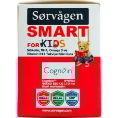 Sorvagen Smart Kids Sitikolin DHA Omega 3 Norveç Balık Yağı B12 60 Flakon