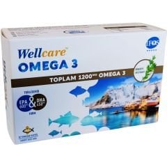 Wellcare UniQ Omega 3 Balık Yağı 1200 mg 30 Kapsül