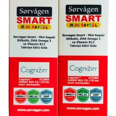 Sorvagen Smart Sitikolin DHA Omega-3 ve B12 60 Mini Kapsül