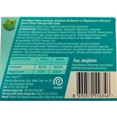 Gavidigest Nane Aromalı Şekersiz 12 Pastil